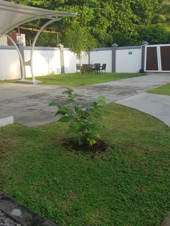 Maison Cattleya Selfcatering Apartment Anse Royale Exterior foto